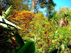 Vallon de la Pastorelle