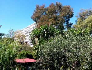 Vallon de la Pastorelle