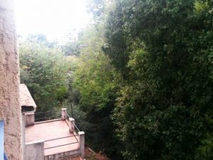 vallon-Gattamua-Nice-Ouest